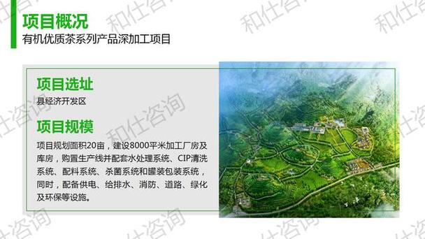 有机优质茶系列产品深加工项目投资建议书
